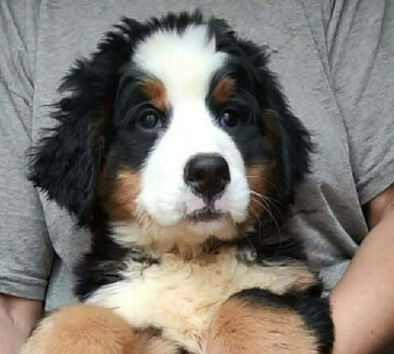 <b>MATILDA&nbsp;</b>