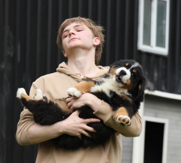 Photo-gallery - Lighthouse Labradoodles